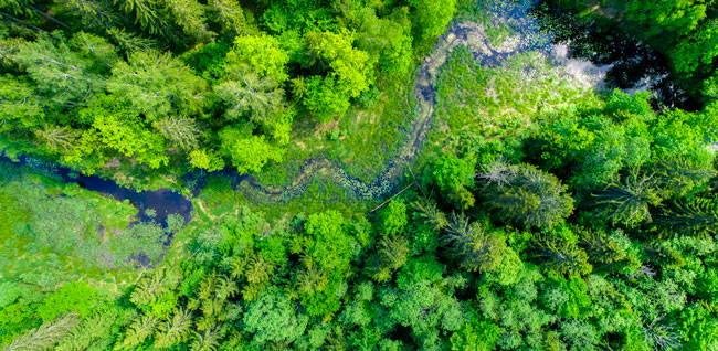 Automha per l'ambiente